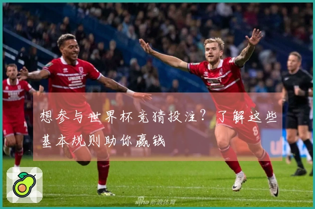 想参与世界杯竞猜投注？了解这些基本规则助你赢钱