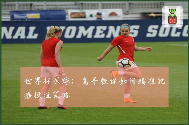 世界杯买球：高手教你如何精准把握投注策略