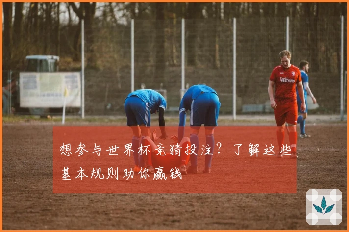 想参与世界杯竞猜投注？了解这些基本规则助你赢钱