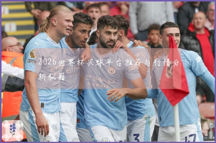 2026世界杯买球平台推荐与行情分析秘籍