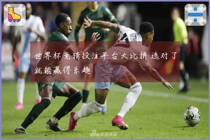 世界杯竞猜投注平台大比拼 选对了就能赢得乐趣