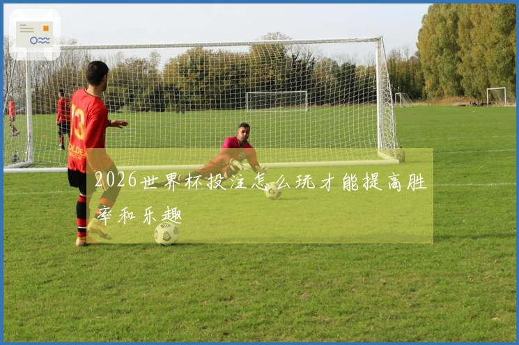 2026世界杯投注怎么玩才能提高胜率和乐趣