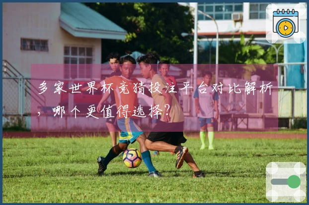 多家世界杯竞猜投注平台对比解析，哪个更值得选择？