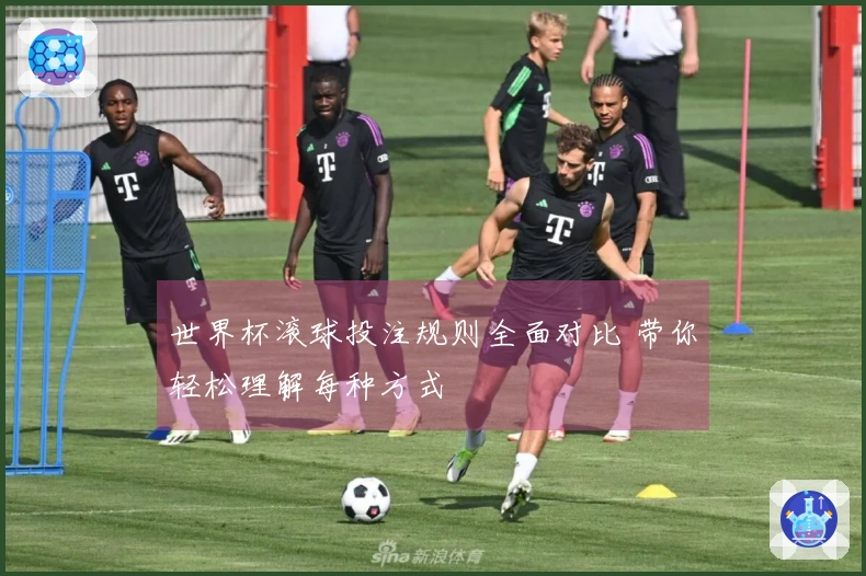 世界杯滚球投注规则全面对比 带你轻松理解每种方式