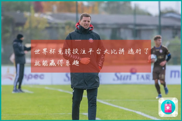 世界杯竞猜投注平台大比拼 选对了就能赢得乐趣