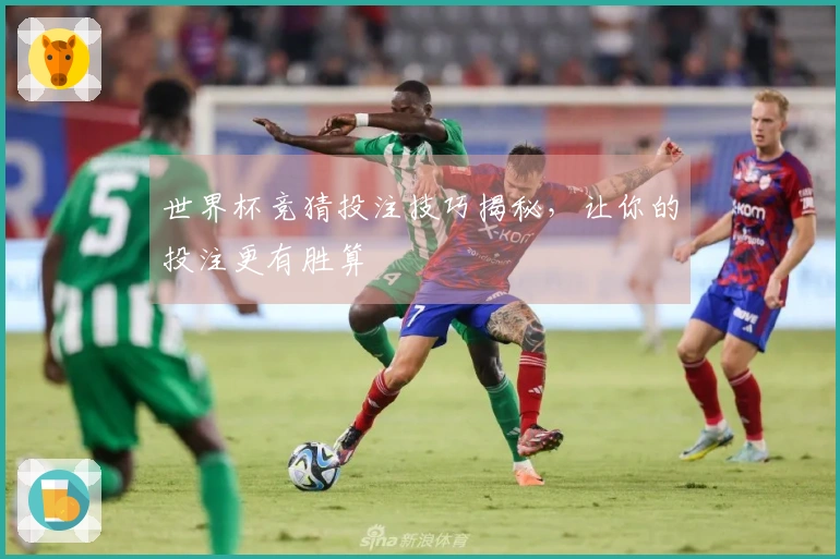 世界杯竞猜投注技巧揭秘，让你的投注更有胜算